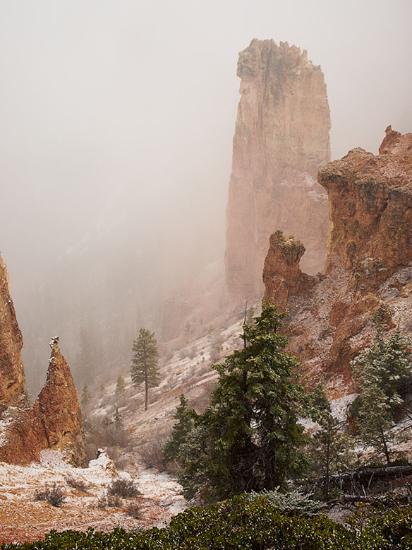 A late snowfall in Bryce Canyon veils the hoodoos.