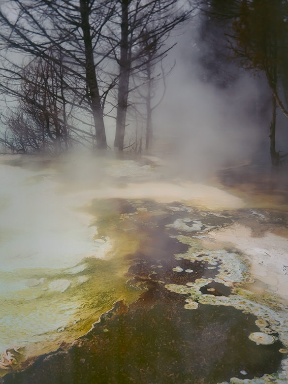 Steam rising from hot pool at Mamoth Hot Springs in Yellowston National Park.