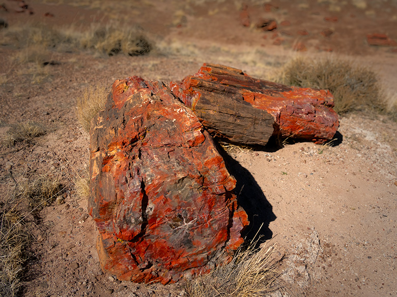 Two vibrant red petrified logs in the middle of Petrified Forest National Park against a desert backdrop