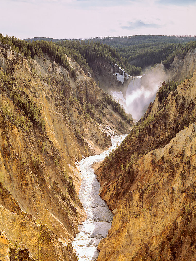 Lower Yellowstone Falls cascading through the Grand Canyon of Yellowstone with mist rising and a forested rim in the distance