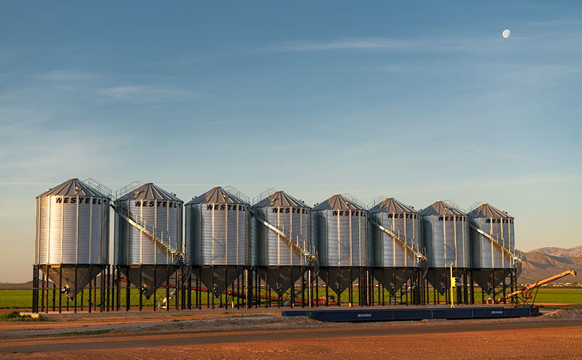 A row of shining Westfield stainless silos in an Arizona farm, with a backdrop of mountains and moonrise. 