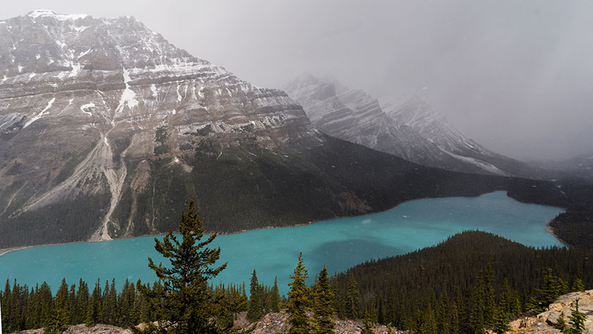 Peyto Lake from Bow Summit