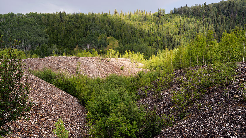 Dredge Piles