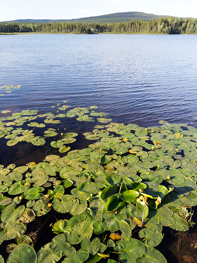 Wye Lake