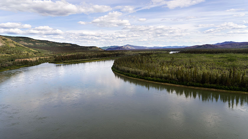 The Yukon River Above Carmacks