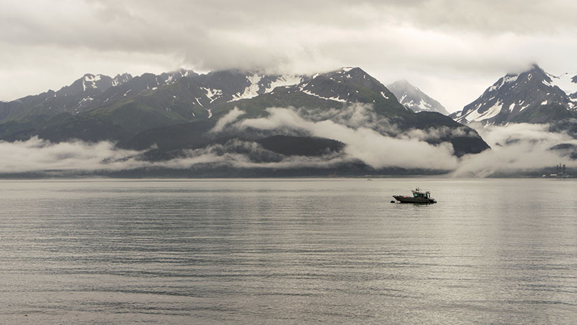 Fishing Boat In Reserection Sound