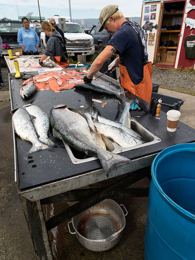 Cleaning the Catch