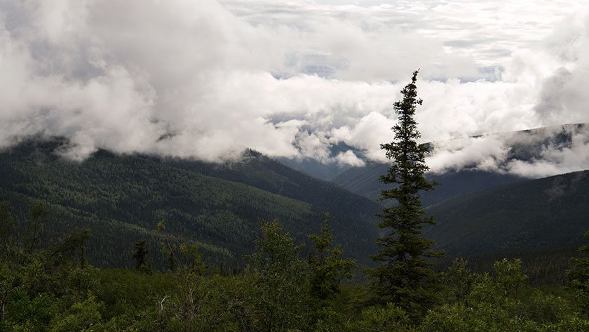 Top of the World View