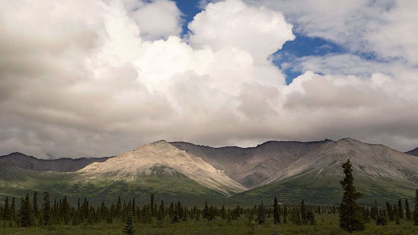 White Mountain in the Rain