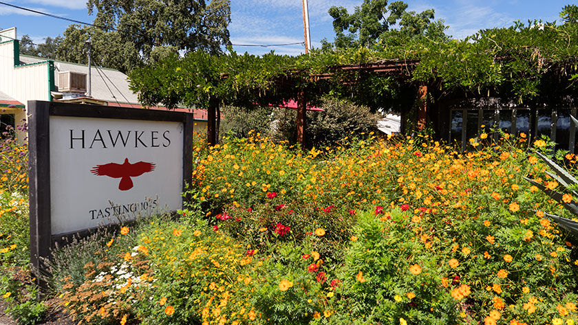 Hawkes Vinyards