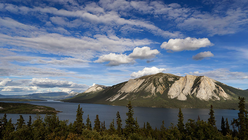 Tagish Lake