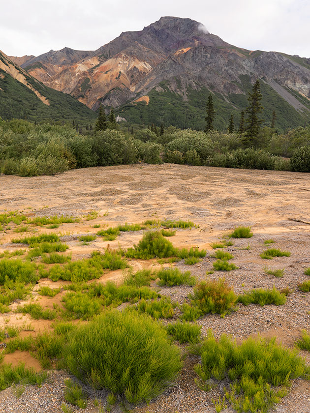 Gypsum Mountain