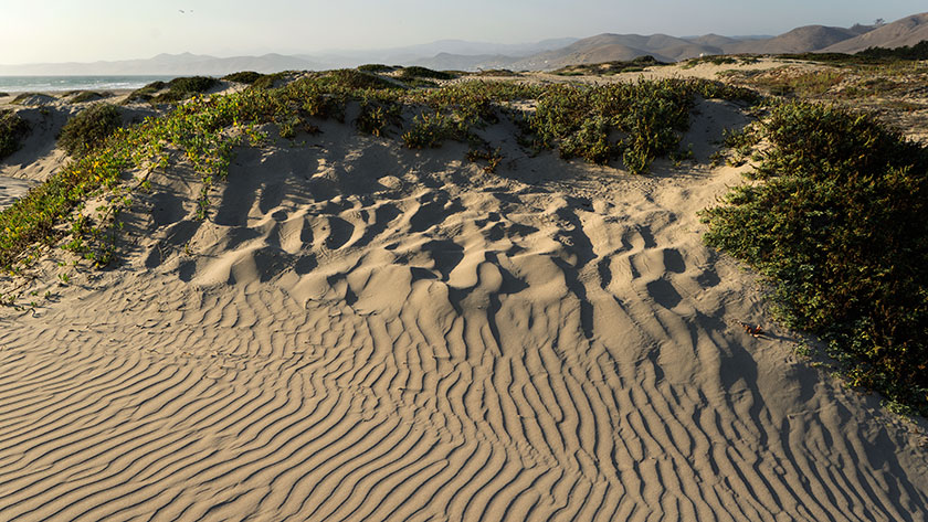 The Dunes at Morro Bay