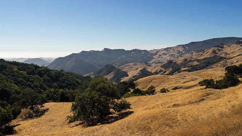 The Old Creek Road