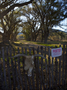 Cow skull and posted sign on a fence gate.