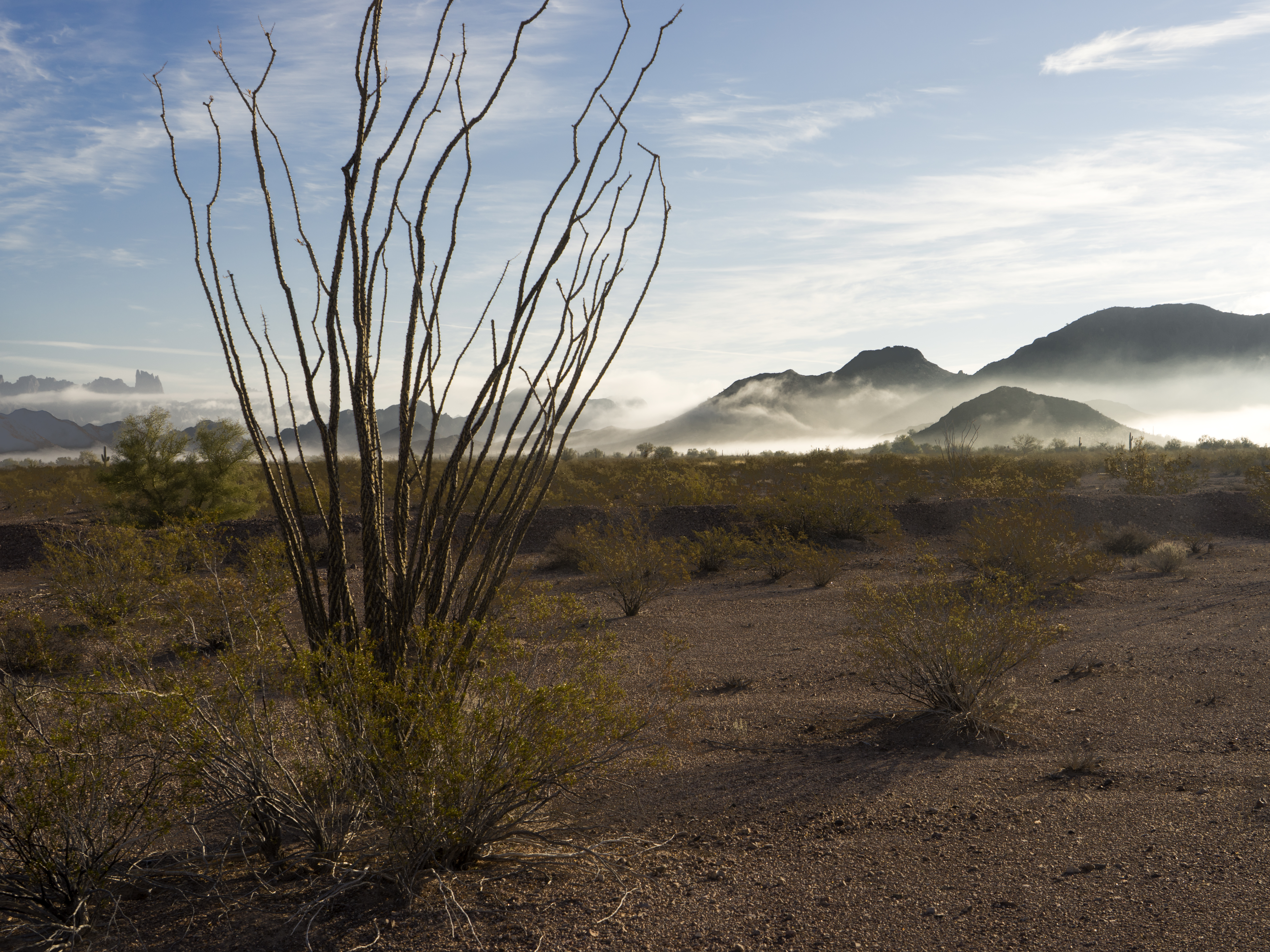 Ground Fog and KOFA Range