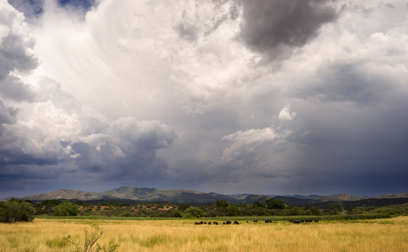 Skull Valley Monsoon