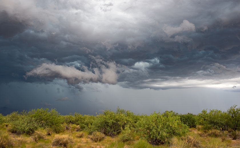 August Storm