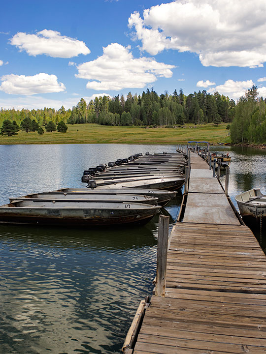 Rental Boats at Big Lake