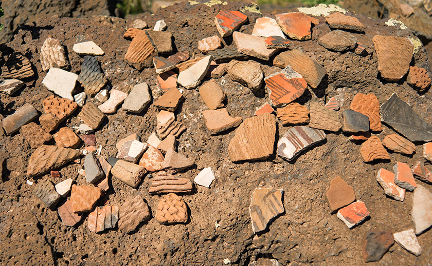 Pottery Sherds