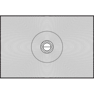 Nikon Split Ring Focus Screen