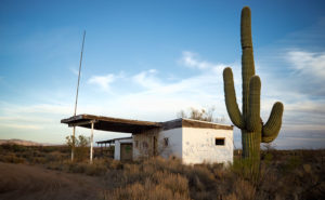 Saguaro Station