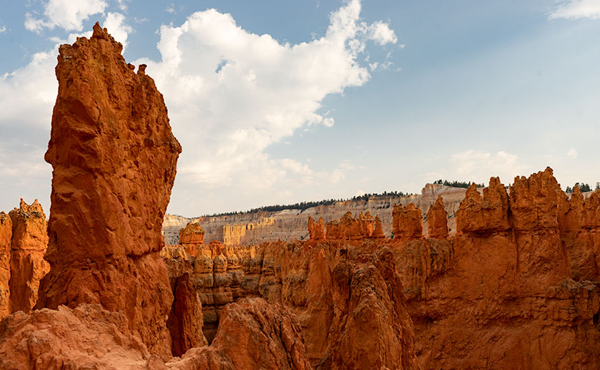 Navajo Emerging