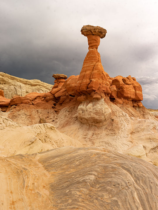 Red Toadstool