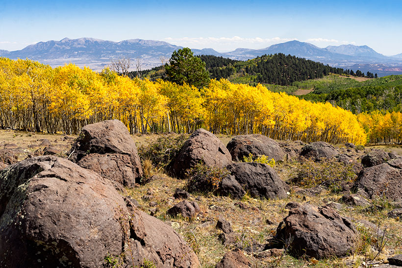 Aspen On Boulder Mountain