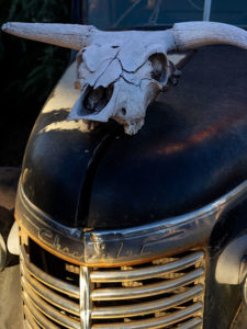 Chevy Skull