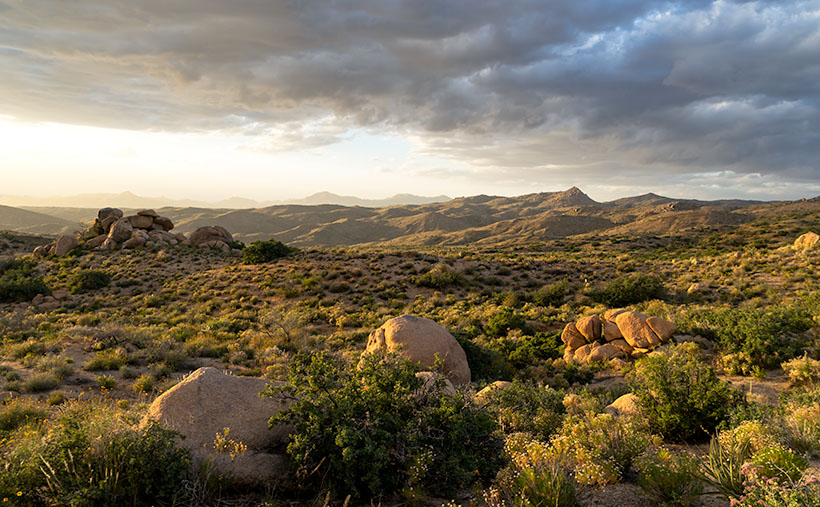 Aquarius Boulders