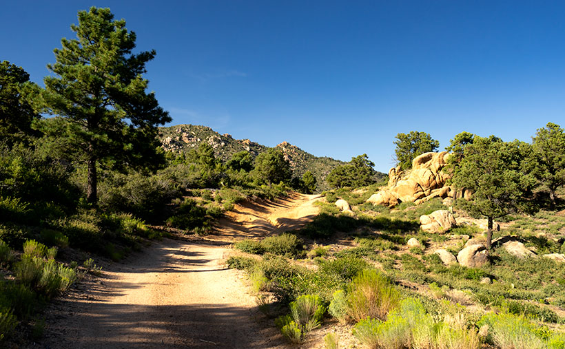 Hualapai Road