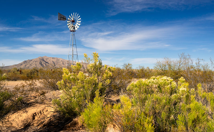 Desert Broom and Windmill-The picturesque windmills don't provide an efficient supply of water to cattle as water tables drop