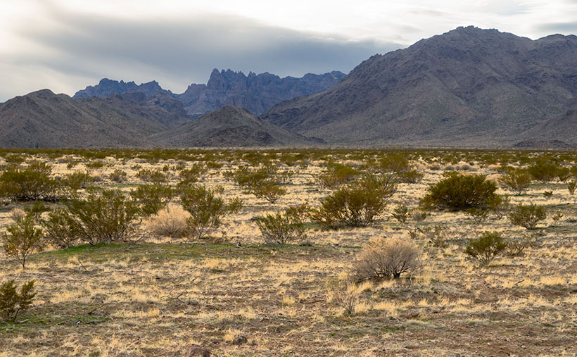 Mt. Tipton Wilderness Area - The jagged peaks in the Mt. Tipton Wilderness Area are at the north end of the Cerbat Mountain Range.