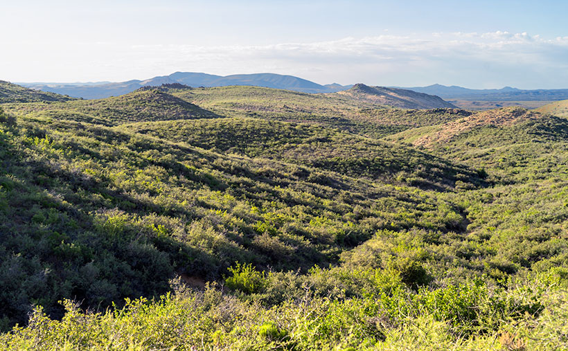 Placerita Hills - The east flank of the Weaver Range are hills than tall peaks.