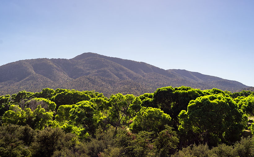 Brushy Mountain - Brightly colored cottonwood trees are a sign of water nearby.