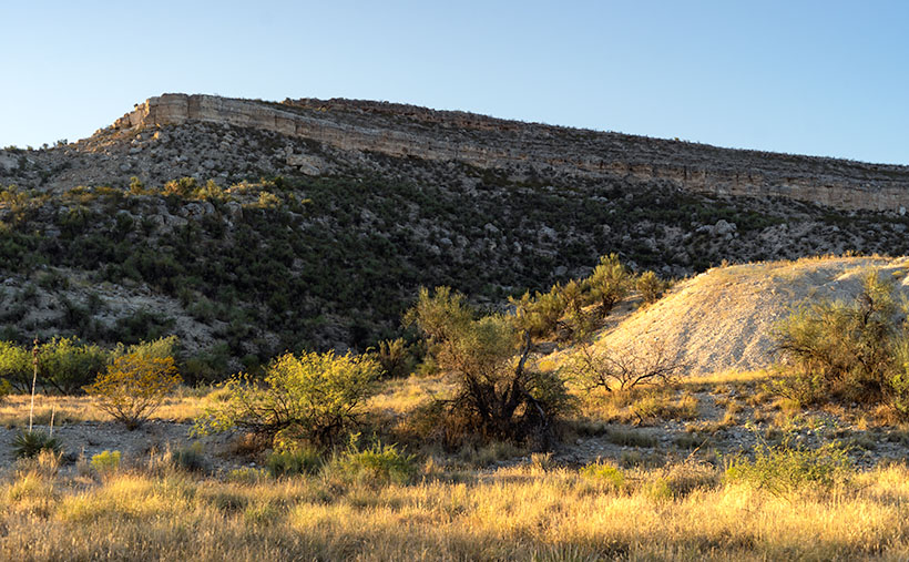 Verde Limestone - A limestone ledge in the Verde River Valley in the lovely light of the evening sun.