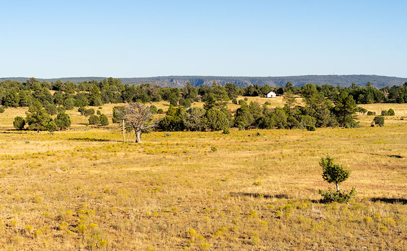 White Barn - On a ranch near the edge of the Mogollon Rim, they are building a new barn. Still in its white Tyvek wrapping, it stood out like a jewel on the prairie.