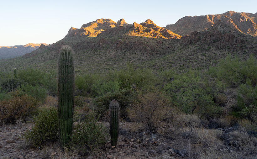 Tucson Mountain Sunrise - The morning sun shines on top of the Tucson Mountains.