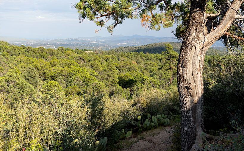 Prescott Basin - You can see miles in any direction from the flats on the Little Granite Mountain Trail, like this view of Prescott to the east.