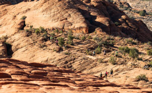 Dune Walkers - About the only way you can stay on the Petrified Dune Trail is to go on a guided hike, like these people.