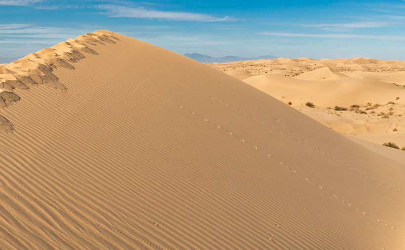 My Tracks - I photographed the set of tracks that I made on the Algodones Dunes to have a semi-permanent record that I was there.