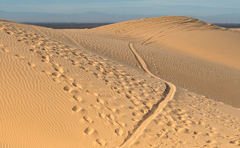 Predator Tracks - An innocent victim was snatched from her friends by a giant sandworm California's Imperial Dunes .