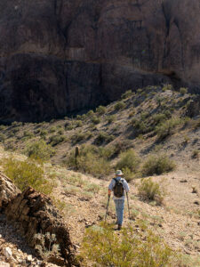 Fred the trailblazer - Fred hikes to another ridge to see if it's the last of our hike. It wasn't.