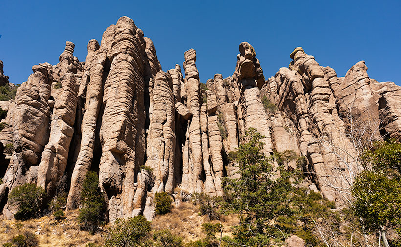 Organ Pipes - One of the first features you see after entering the park is the Organ Pipe Formation.