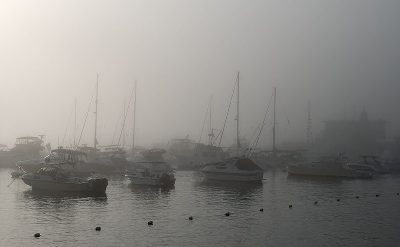 Harbor Fog - A dense fog covers the Avalon Harbor.