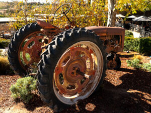 Leoness Tractor - The cellar's owners drug this old tractor out from the barn as yard-art.