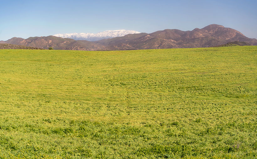 San Jacinto Field - The snow covered San Jacinto Peak dominates the skyline near Temecula, California.