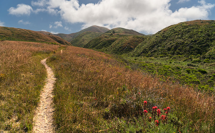 Landscape view of Bluff trail winding through grassy field with majestic mountains in the background at Montaña de Oro State Park in California