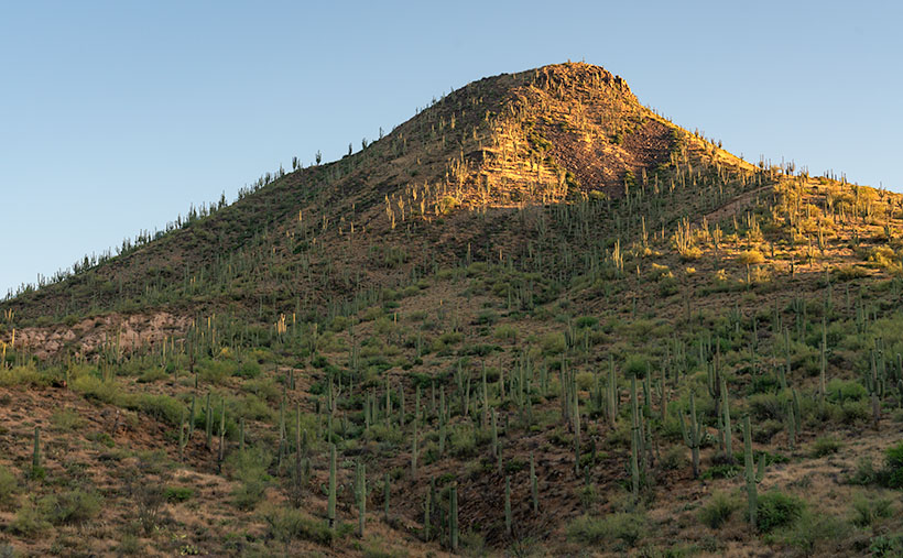 A view of Black Mesa, a pyramid-shaped basalt mountain in the Mazatzal Mountains